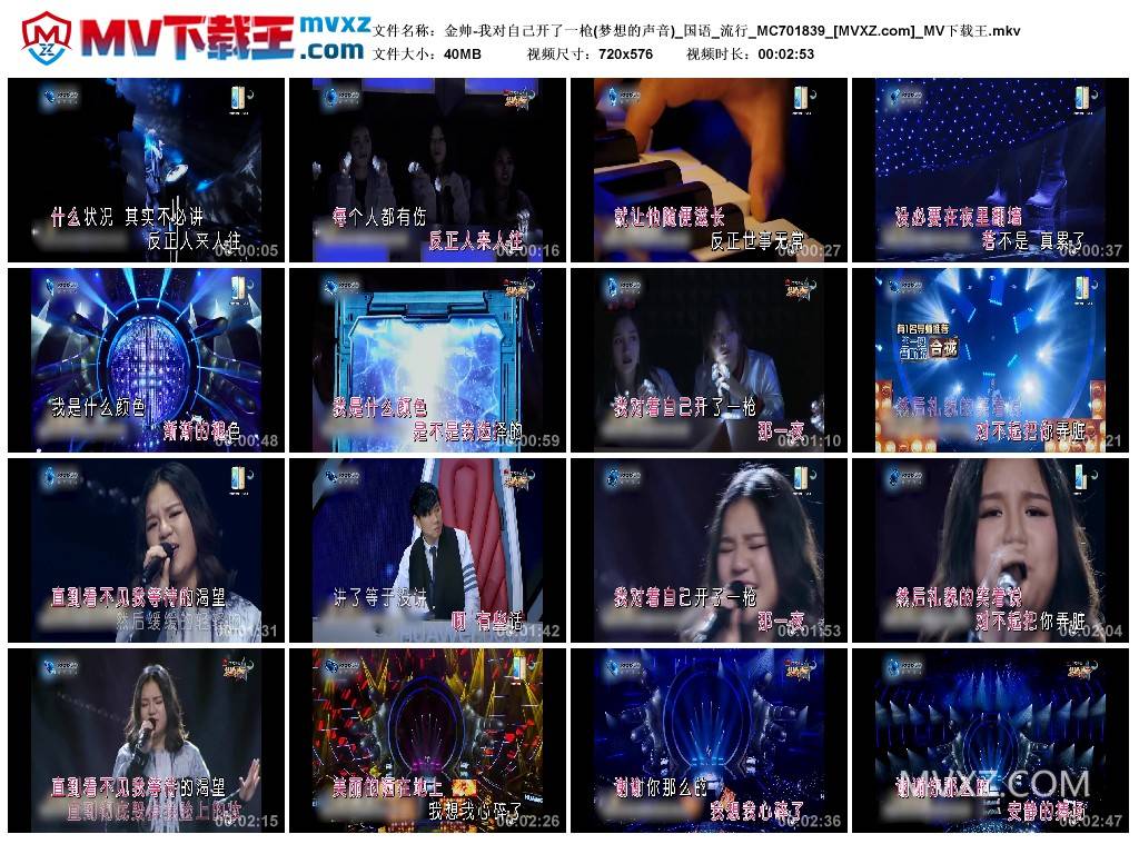 金帅-我对自己开了一枪(梦想的声音)_国语_流行_MC701839